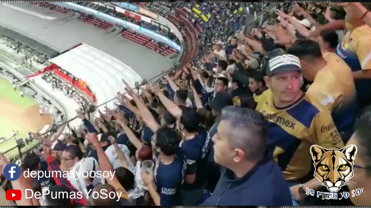 LIGA MX CUARTOS DE FINAL VUELTA AMERICA VS PUMAS COLOR DESDE LA AFICIÓN PUMA YouTube LIGA MX CUARTOS DE FINAL VUELTA AMERICA VS PUMAS COLOR DESDE LA AFICIÓN PUMA YouTube