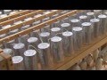 Candle Making | Lightstreams Ltd.