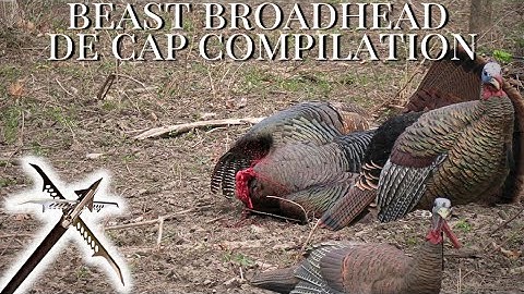BEAST Broadhead Compilation Video | Outdoor X Media | Turkey Tour 2025