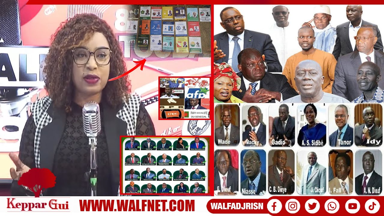 Pléthore de partis, quand la politique devient un business 