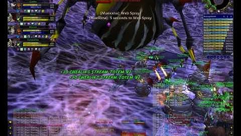 AFGM Naxxramas Classics: Maexxna