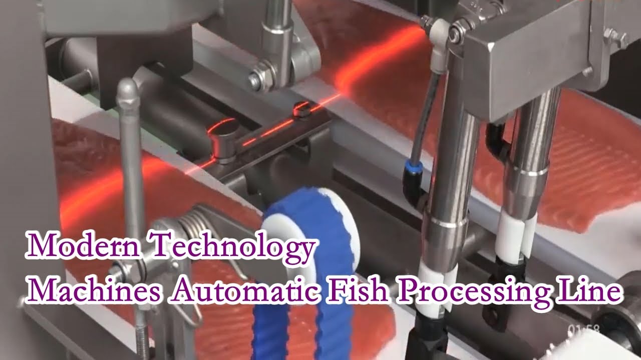 Machines Automatic Fish Processing Line Modern Technology | 三文鱼自动加工线现代 ...