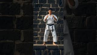 karate kata practice  at wall 🧱🥋😱 #karate #dreamscreenai #martialarts #karatetraining #wall
