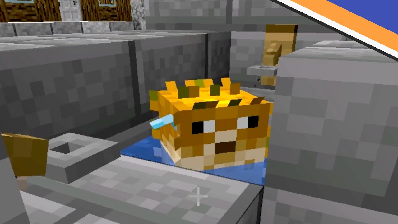 Pufferfish Passage - Talon's Oasis - Ep 93