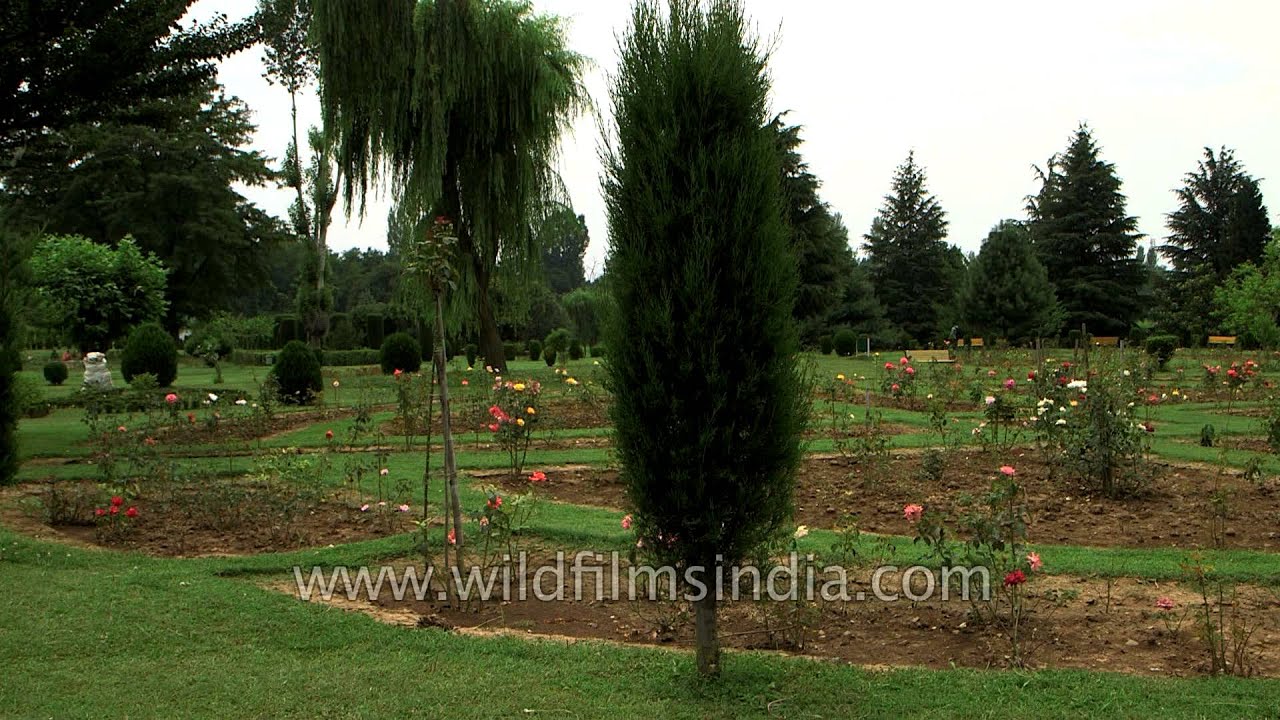 Jawaharlal Nehru Botanical Garden - Srinagar