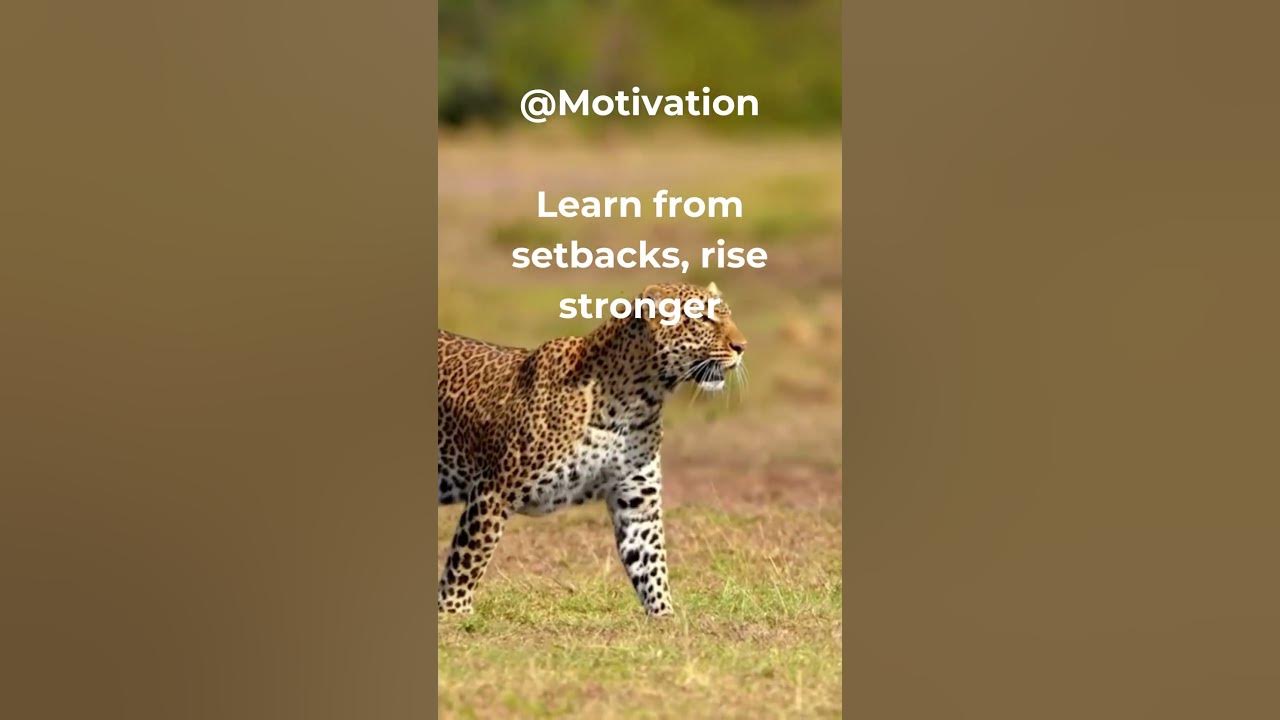 Learn from setbacks, rise stronger Resilience is the key to overcoming ...