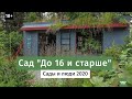 Обзор сада "До 16 и старше". Сады и люди 2020.