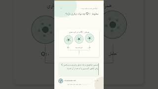 خطوط ظریف و Q10 | نقش آنتی‌اکسیدان در مراقبت پوست