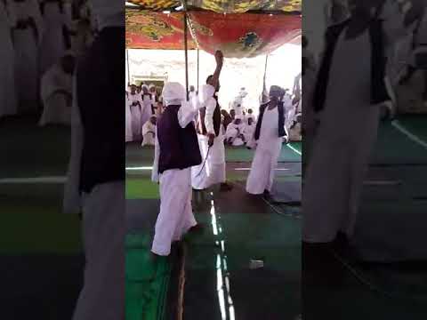 صالح عوض الله الرباطاب ابوهشيم