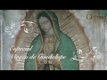 Especial Virgen de Guadalupe: Códice de Nuestra Señora de Guadalupe