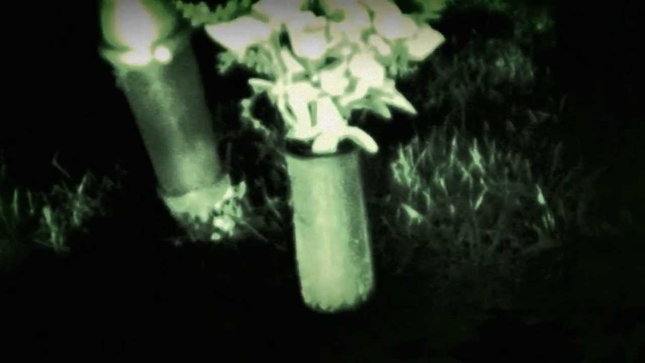 "Ill Shit" By: Young Rob -(OFFICIAL VIDEO)-