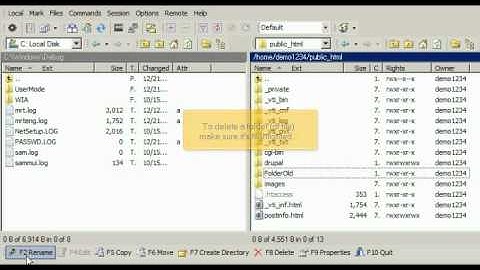 Managing Files in WinSCP