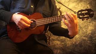 Portrait - Ukulele Solo