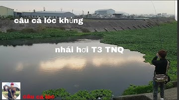 Phần 1.(Tập 3): Hành trình câu cá lóc khủng bằng nhái hơi T3 (TNQ).Taiwan.Đài loan