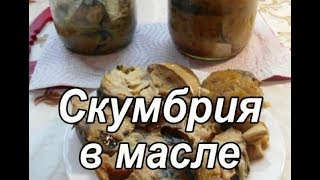 Скумбрия в масле. Домашние консервы в масле. Просто вкусно!