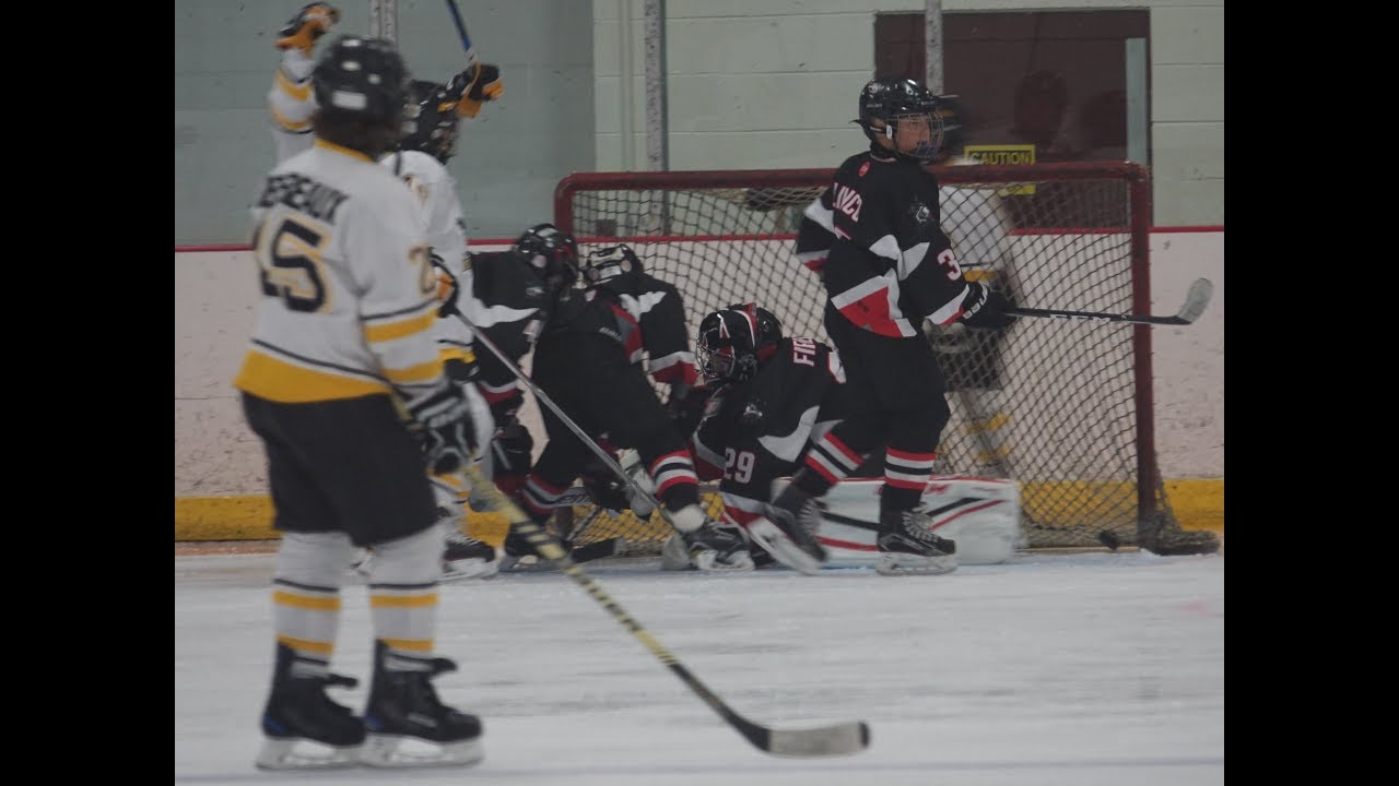 skaneateles youth hockey