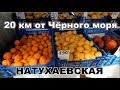 Галопом по Натухаевской. Рынок и центральная часть станицы