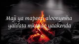 Dushelele_Alikiba lyrics #lyricvideo #music #lyrics 