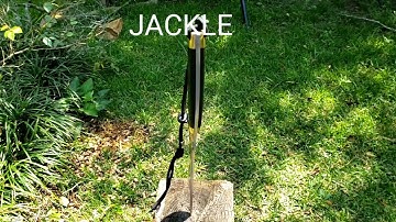 The jackle Wyatt Hines custom