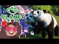 A Love Match for Our Pandas?! 🐼 Daily Planet Zoo! • Day 3
