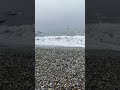 ЖИЗНЬ МИЗАНТРОПА в прямом эфире!