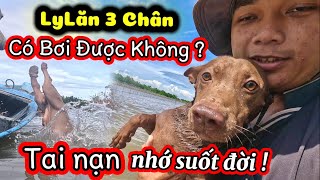 Nhúi Nhắng Hảm Hại LyLăn Té Xuồng Làm Thằng Nhỏ Hoảng Hồn Bị Chìm Xuống Nước Nhờ Sen Cứu