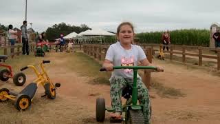 Denver Downs Farm 2022 Fall Festival