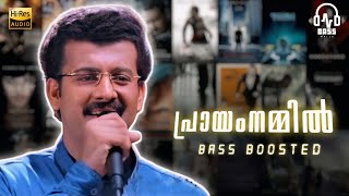 Prayam Nammil | BASS BOOSTED | Niram | Prakash Mathew | BM Atmos | chords