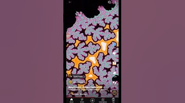 #psychedelic #trippy #animation Trancefusion: Dancing Mandelbrot Dreams.