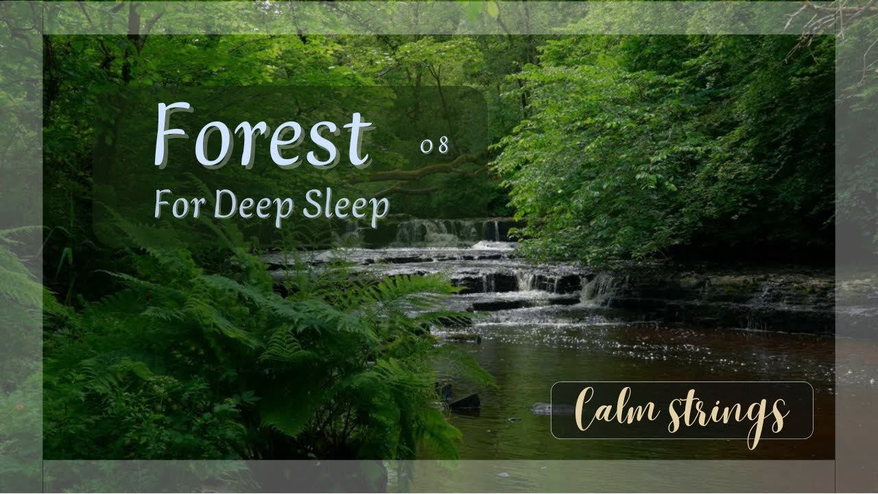 Forest Stream | Gentle Strings for Deep Sleep (1 Hour)