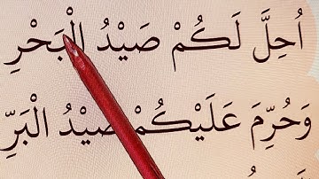 Practice your Quran reading. Surah Maida 96-108 سورة المائدة #Lesson10 #quranlessons with #tajweed