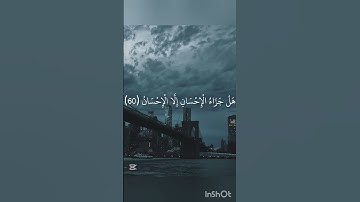 محمد اللحيدان سورة الرحمن #القران #اكسبلور #راحة_نفسية #المصحف #الرحمن #لايك #يارب