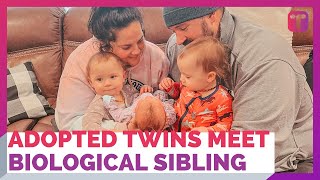 Toddler Twins Meet Newly-Adopted Biological Sibling For First Time