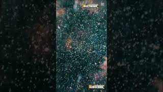 #SpaceTok #ScienceReels #Shorts #SolarFlare #CosmicEnergy #UniverseExplained #ViralScience #BuzzWarp