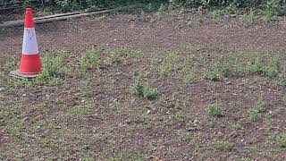 Raza Going For A Long Ride On His Very First Pony Horse