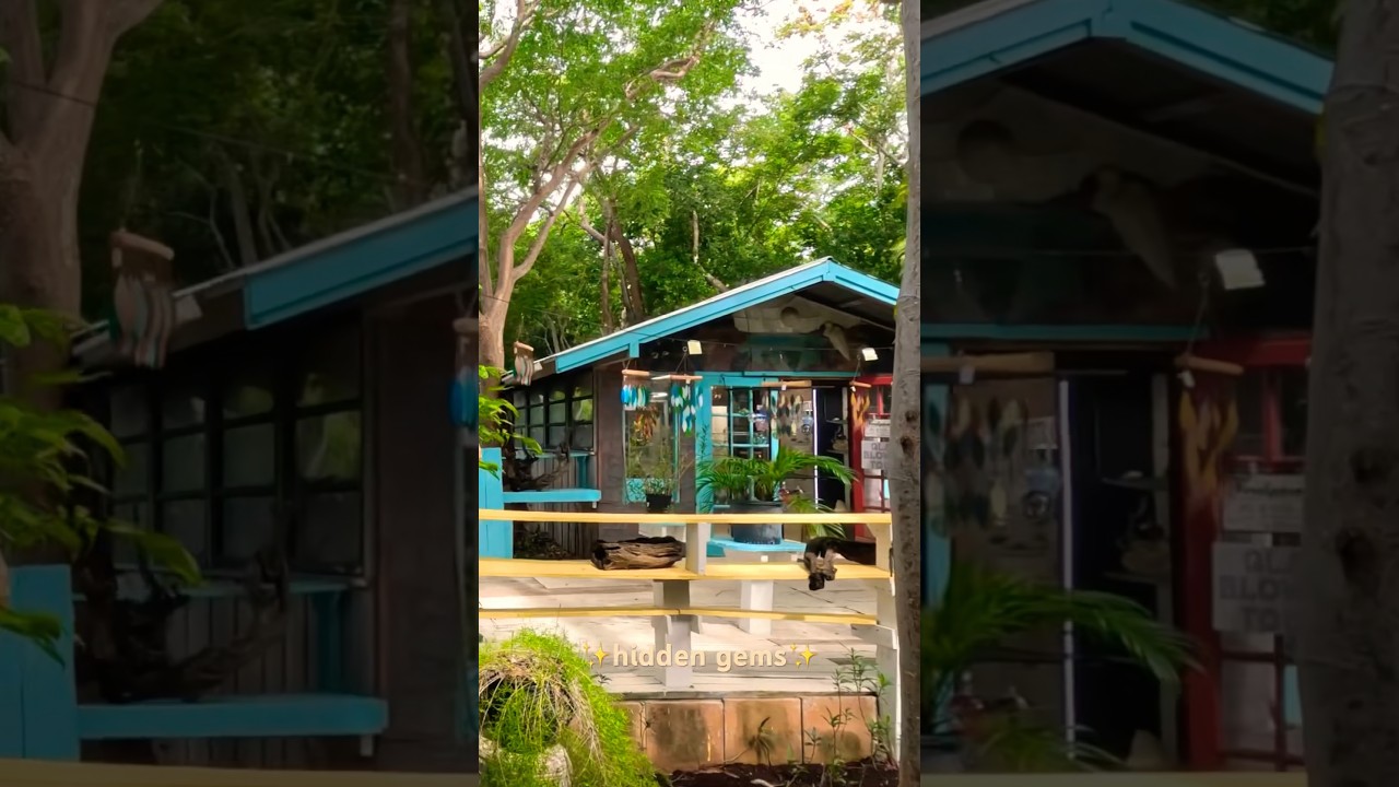 The cutest little shop in Islamorada,Fl 🏝️ 