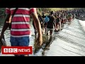 New video by BBC News on YouTube