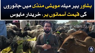 Buyers are disappointed after hearing the price of animals in Peer Mela Maweshi Mandi Peshawar