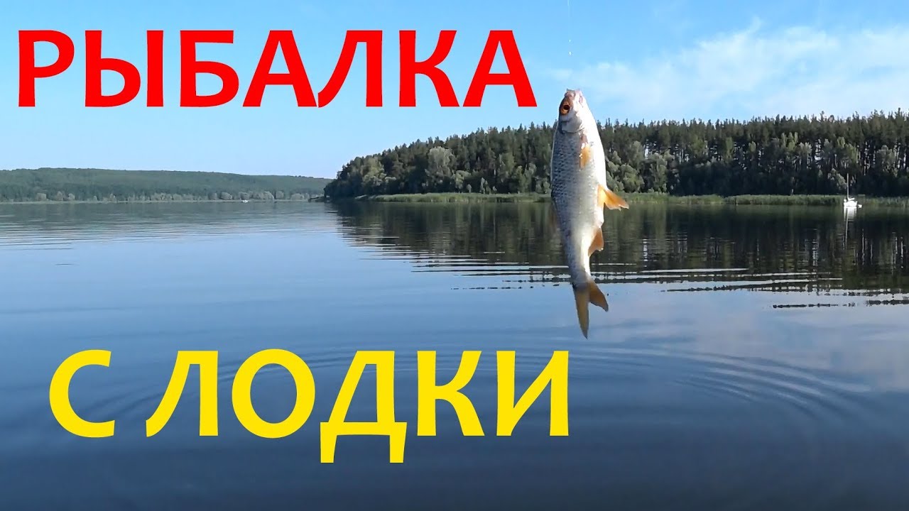 Рыбалка с лодки Печенеги / Старый Салтов / 2019