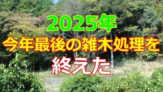 2025年 最後の雑木処理