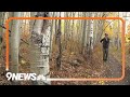 Man studies the science behind Colorado's famous aspen trees Mp3 Song
