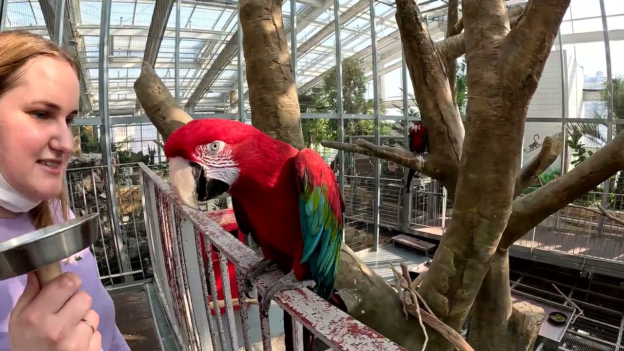 [4K] We went to Osan Bird Park, Мы поехали в Птичий парк Осан Сити