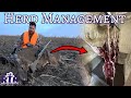 Stacking Up Venison &amp; Managing Our Deer Herds - Kansas Whitetail Hunting