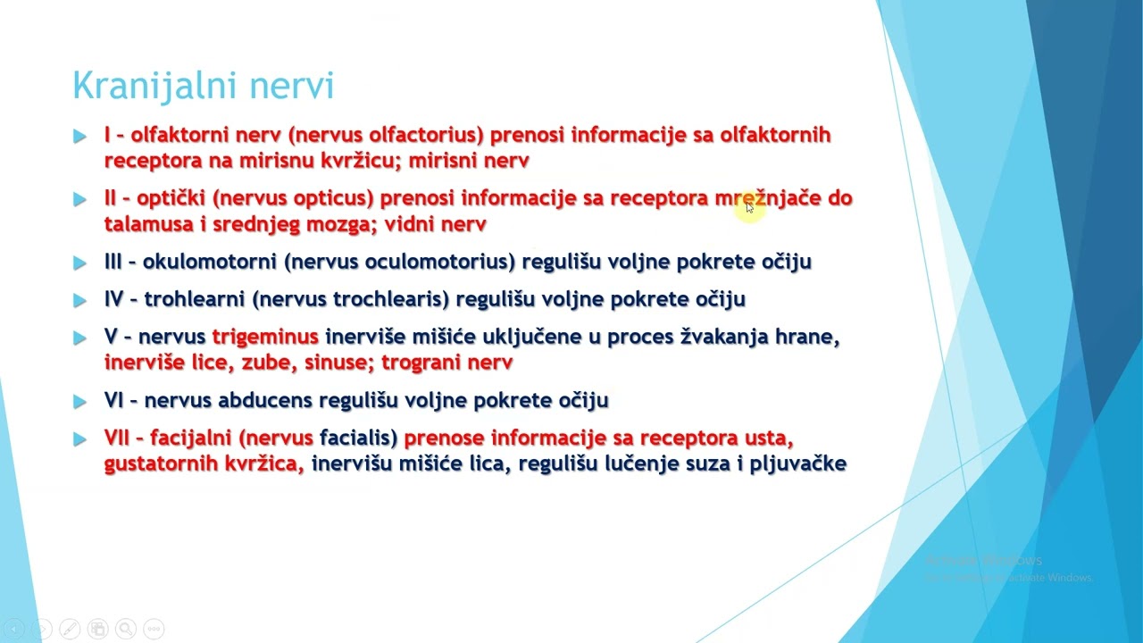 KRANIJALNI NERVI