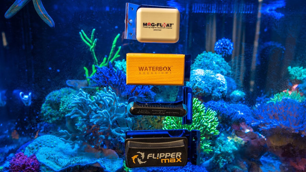 Ultimate Aquarium Magnet Cleaner Review 