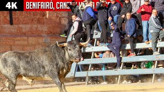 4K ▶ BENIFAIRÓ DE LES VALLS, CANET DEN BERENGUER y VIANA DE CEGA ▪ Varias ganaderías by TOROS EN ESPAÑA TV 84,389 views 3 months ago 12 minutes, 56 seconds