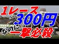 再up【競馬検証】2番人気固定の馬連流し。低投資なのに、高配当?!1回当たればウッハウハ♪回収率130%越えも可能です。【阪神競馬場】