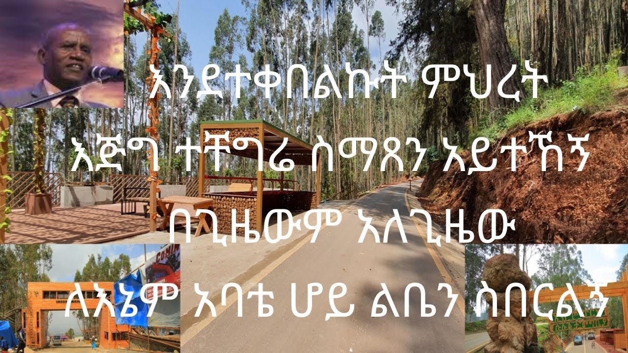 Tesfaye Gabiso Selected Songs👍እንደተቀበልኩት ምህረት👏እጅግ ተቸግሬ ስማጸን 👏🏼በጊዜውም አለጊዜውም👏🏼ለእኔም አባቴ ሆይ ልቤን ስበርልኝ👍