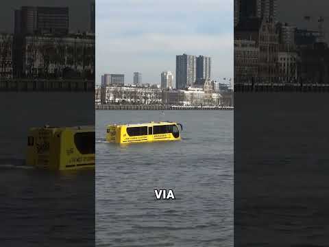Why This Bus