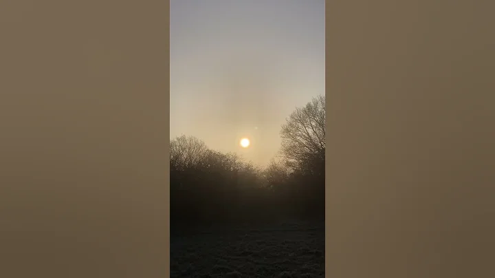 Cool Sunrise *BIRD SOUNDS* 🔊🥶🌅 #shorts #sky #sunrise #birds #chirping #sounds - DayDayNews